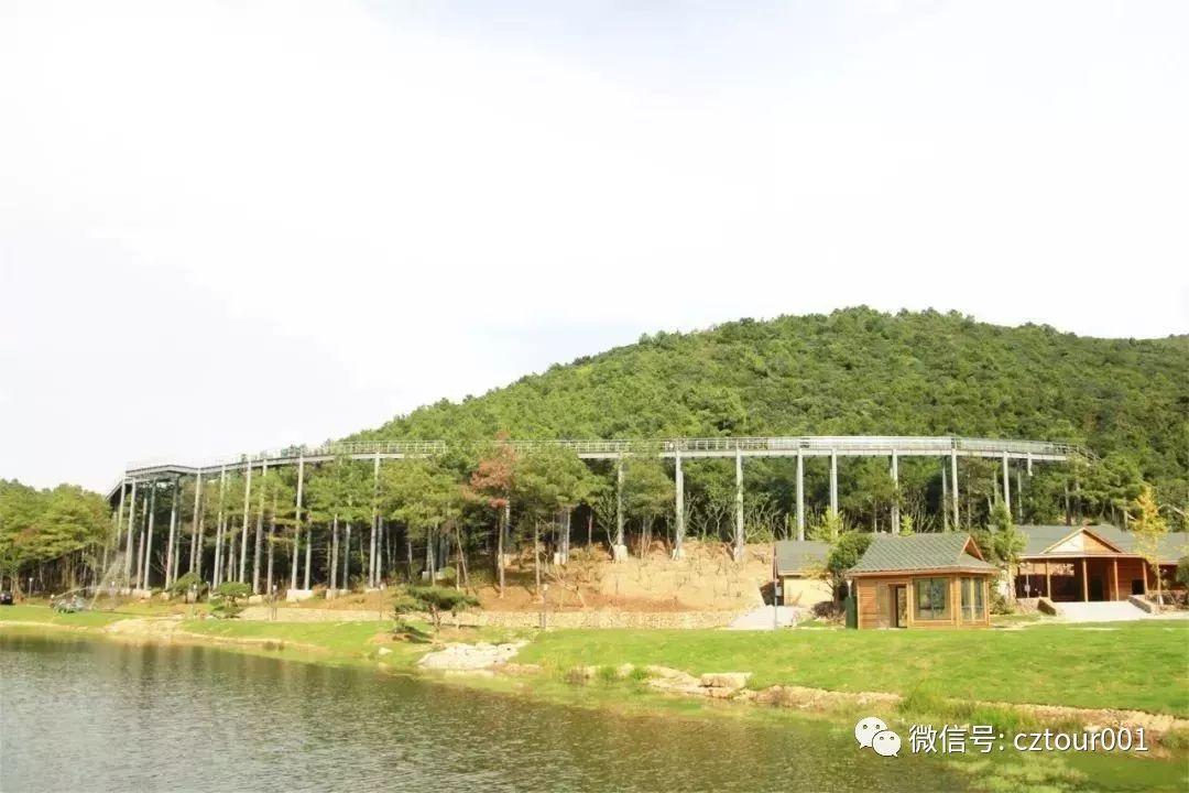 太湖湾露营谷——树顶玻璃栈道 依山而建 全长约 200米,宽度 1.