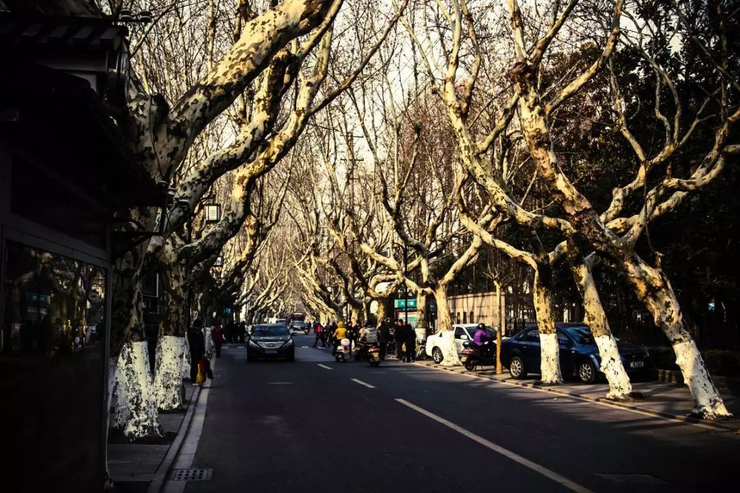 返回首页 不错,五卅运动的发生地是上海,中学的历史课本上说得比较