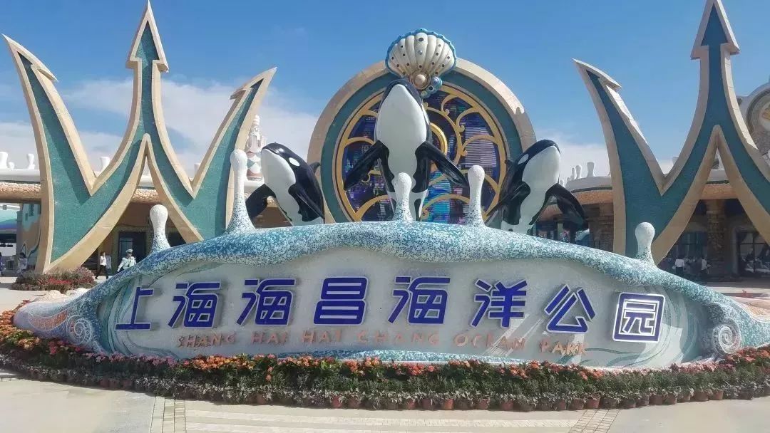 上海海昌海洋公园究竟该怎么玩?