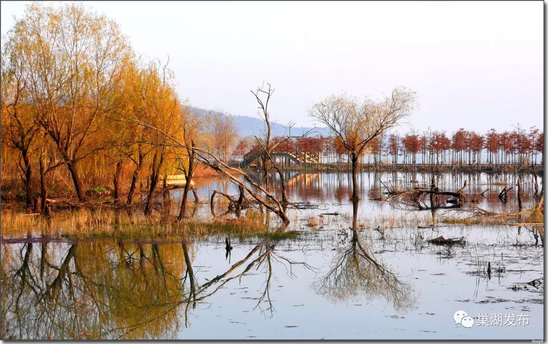 跟着美图逛巢湖:冬日湿地别样美