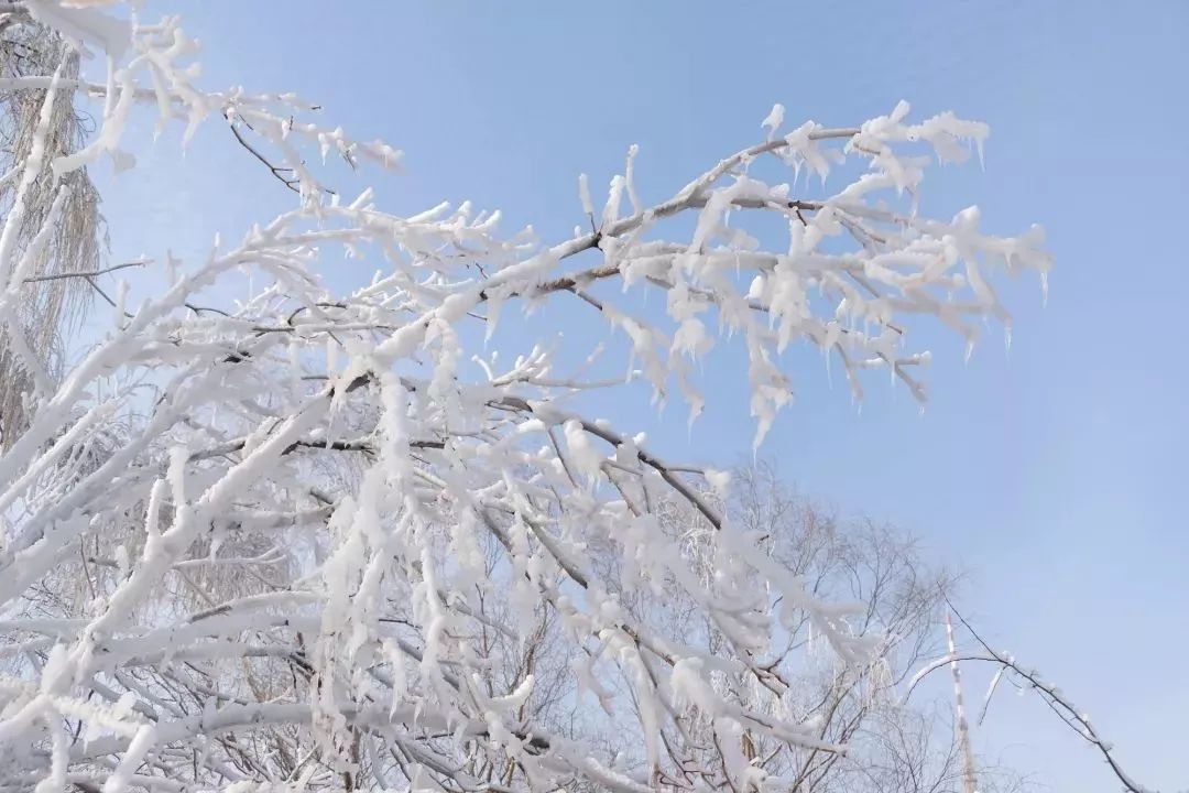 冰雪竞技燃亮青春玉渊潭公园开启快乐冰雪假期