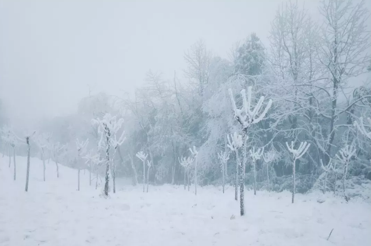 【学姐实测】4h邂逅雪国秘境,这个寒假,盘它!