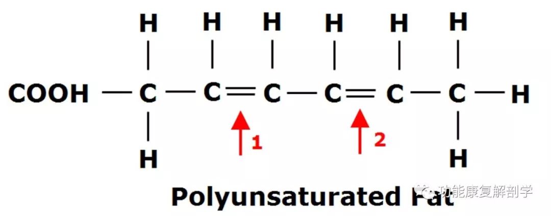 多不饱和脂肪酸(pufa)可以基于第一双键相对于链的甲基末端的位置