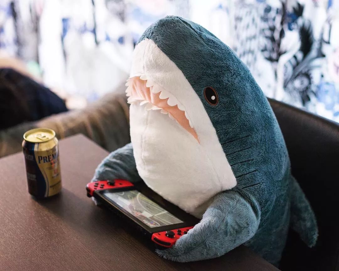 据说,日本宜家近期的鲨鱼销售额比去年同期上升了1