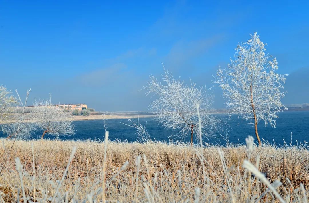 无雪的冬天怀念