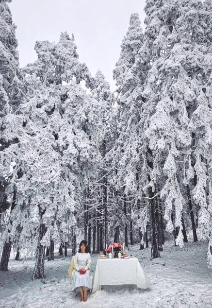 重慶仙女山賞雪最經典的3個地方，90%都錯過，仿佛身處瑞士 未分類 第13張