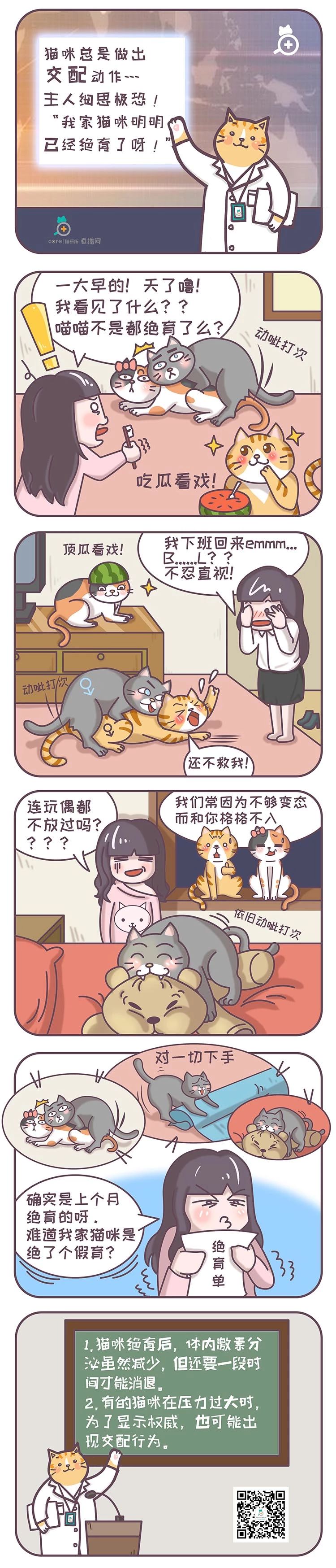 漫画:为什么公猫绝育后还会做出羞羞动作?