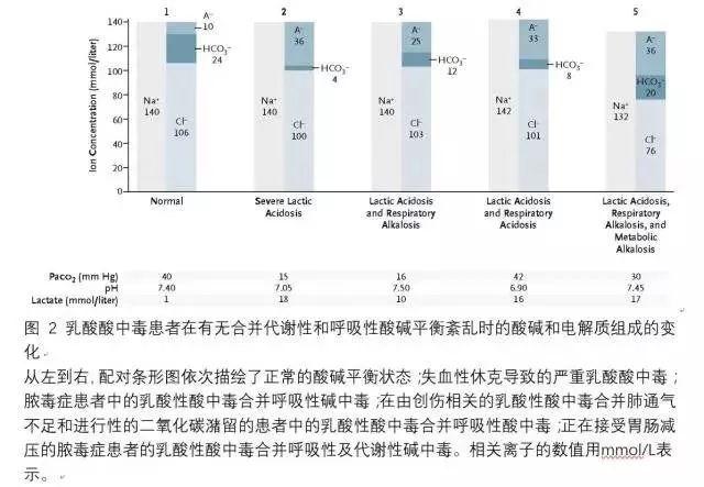 全面解读:乳酸性酸中毒