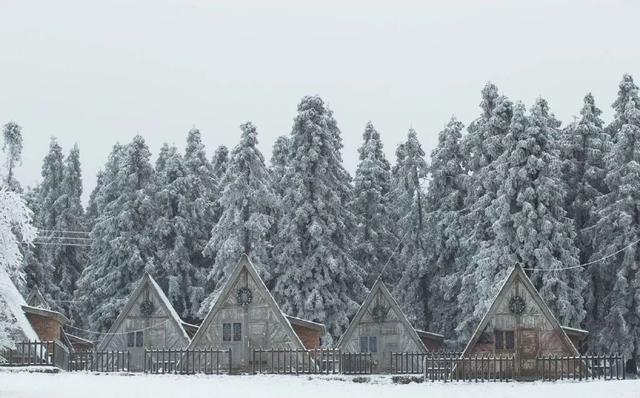 重慶仙女山賞雪最經典的3個地方，90%都錯過，仿佛身處瑞士 未分類 第19張