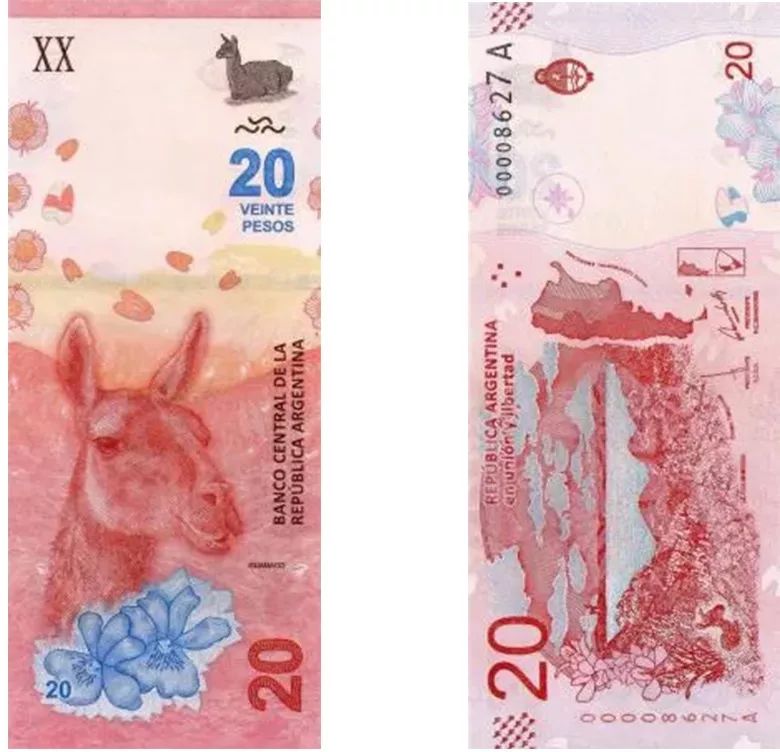 奇葩！羊駝、鹹魚被印上了鈔票....這樣搞笑的設計是認真的嘛？ 搞笑 第1張