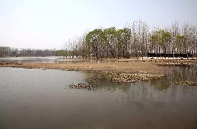 重磅巨野洙赵新河市级湿地公园总体规划通过专家评审