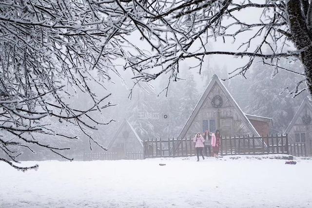 重慶仙女山賞雪最經典的3個地方，90%都錯過，仿佛身處瑞士 未分類 第3張