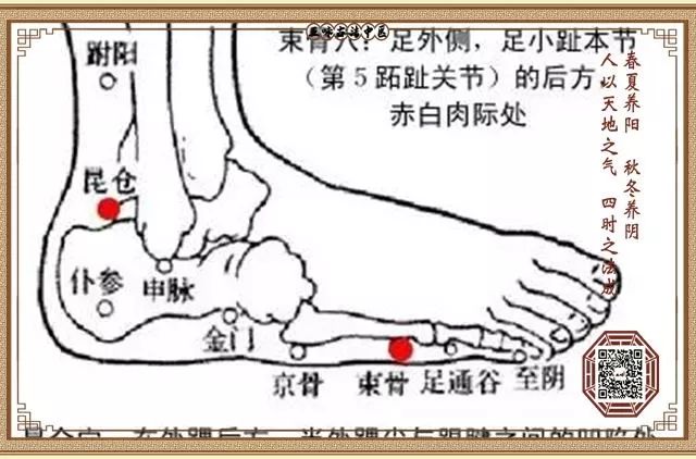 图说脾经,女性朋友最值得关注的经络