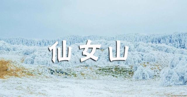 重慶仙女山賞雪最經典的3個地方，90%都錯過，仿佛身處瑞士 旅遊 第1張