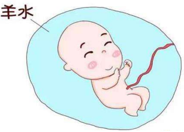 涨知识：包裹胎儿的水为什么叫“羊水”？
