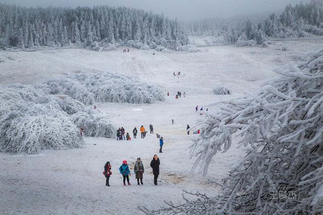 重慶仙女山賞雪最經典的3個地方，90%都錯過，仿佛身處瑞士 旅遊 第5張