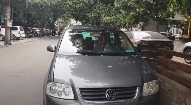 原創
            車副駕坐著一條狗，網友以為是玩具狗，走近後狗露出兇狠表情 寵物 第2張