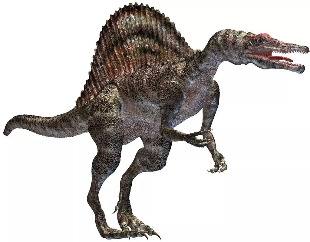 棘龙, spinosaurus,意思为「有棘的蜥蜴」是最大的兽脚亚目恐龙和食肉