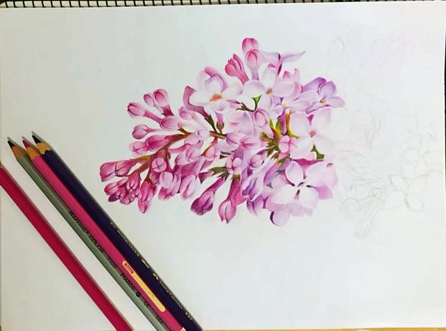 7,             作品:丁香花 类别:彩铅 13,名称:色彩风景(临摹).