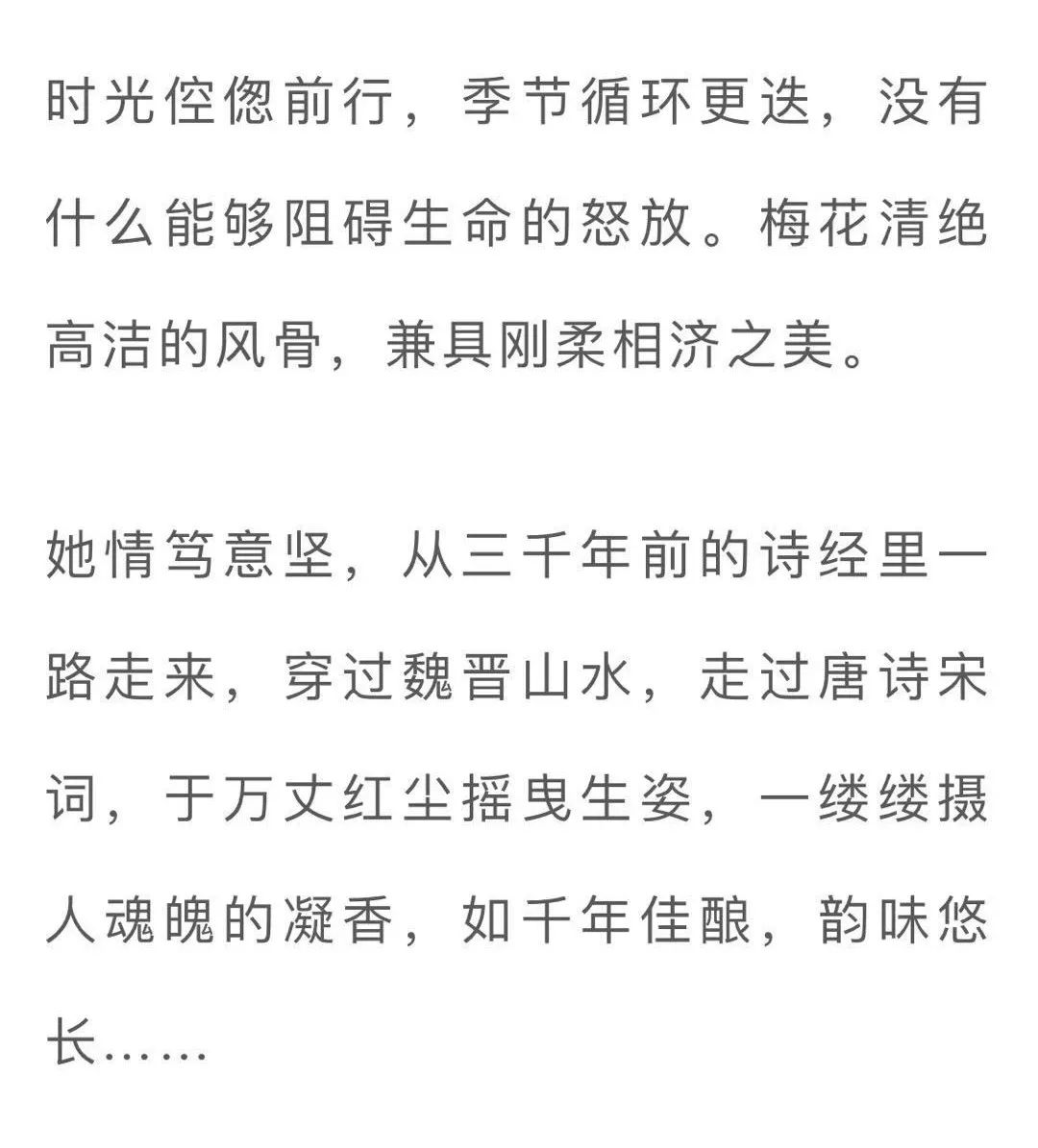 一剪寒梅简谱_PNG一剪寒梅 PNG格式一剪寒梅素材图片 PNG一剪寒梅设计模板 我图网