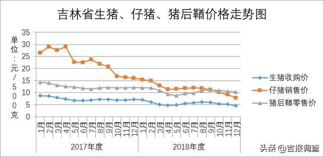 2019年初生人口_大年初六图片(2)