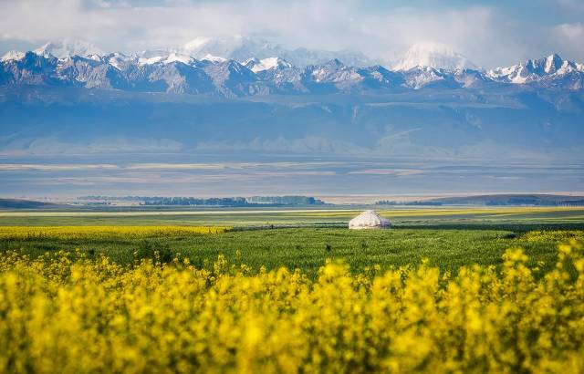 新疆伊犁，一個美的不一樣的地方！ 未分類 第29張