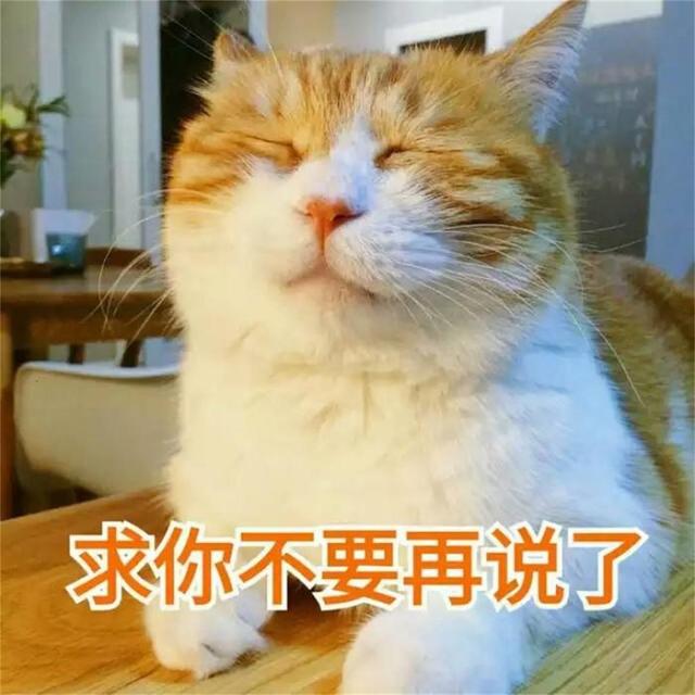 小猫咪晚上叫怎么办