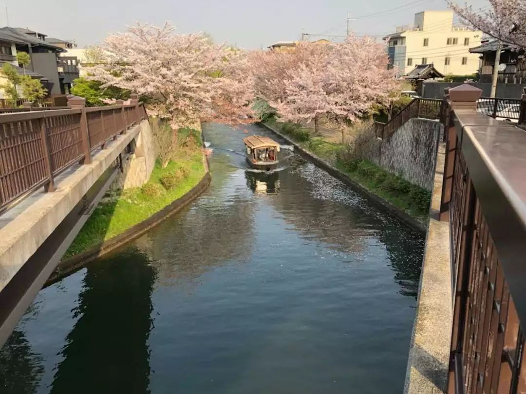 小栗旬的盛世美顏，讓我從此對日本一發不可收拾 旅遊 第10張