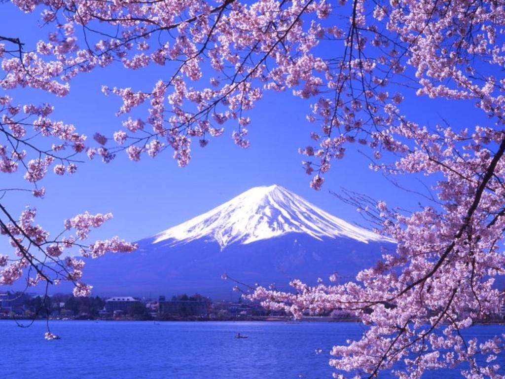 富士山风景区,富士山超清图片,富士山绘画(第12页)_大山谷图库