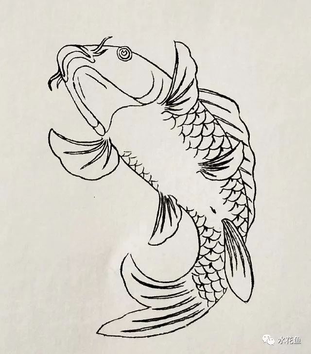 艺术赏析:画"鱼"的结构和鱼的常见配景图