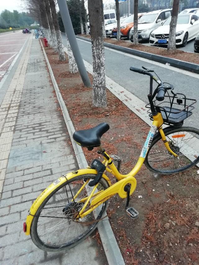 一个小时内,实拍ofo小黄车,好几辆锁坏,掉链子