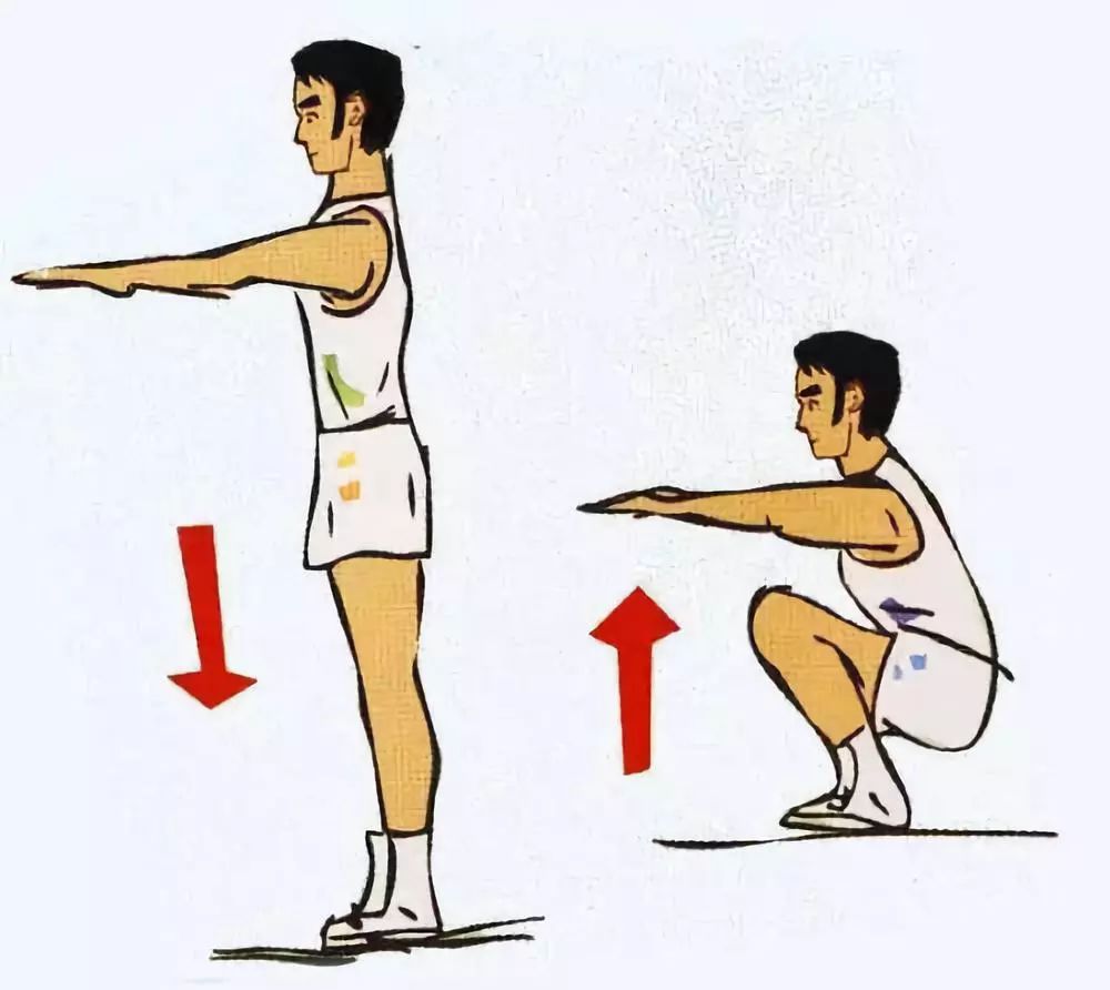 下蹲运动,主要靠两条腿的屈伸,来支撑躯干以上身体的重量.