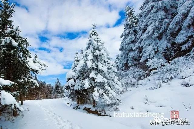 雪景怎么穿搭_冬天雪景图片(2)