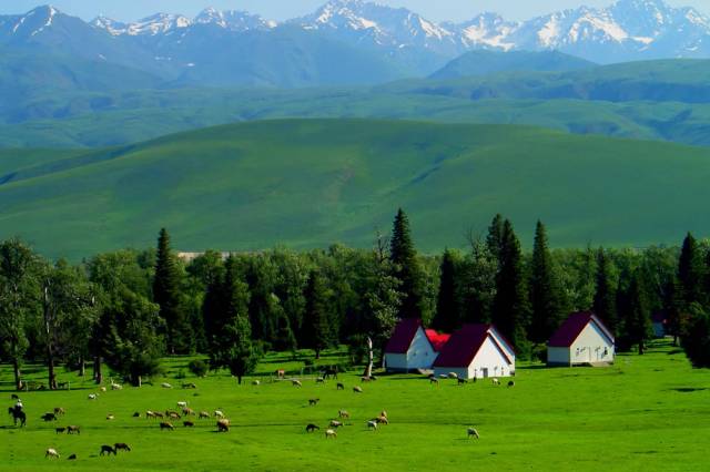 新疆伊犁，一個美的不一樣的地方！ 未分類 第19張