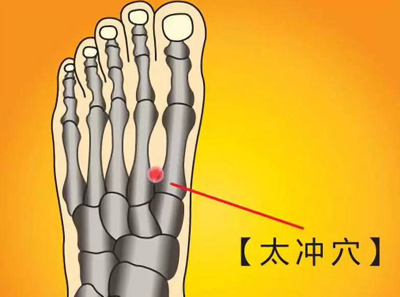 太冲穴,穴位知识一则