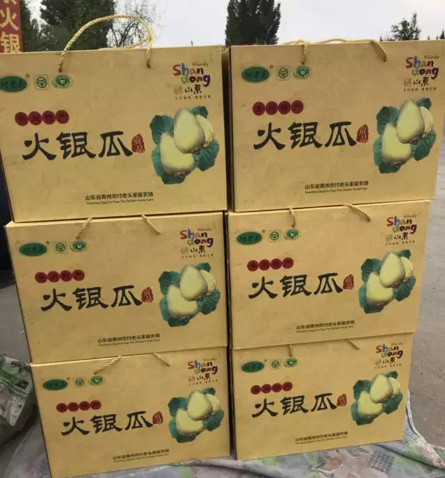 冬天也能吃香香脆脆的青州特产火银瓜!还送有机蔬菜!