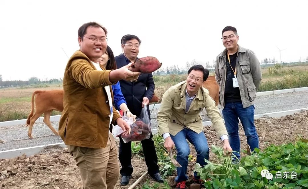 作家走进启隆在永隆沙的习习江风里