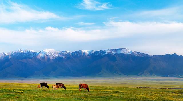 新疆伊犁，一個美的不一樣的地方！ 未分類 第10張
