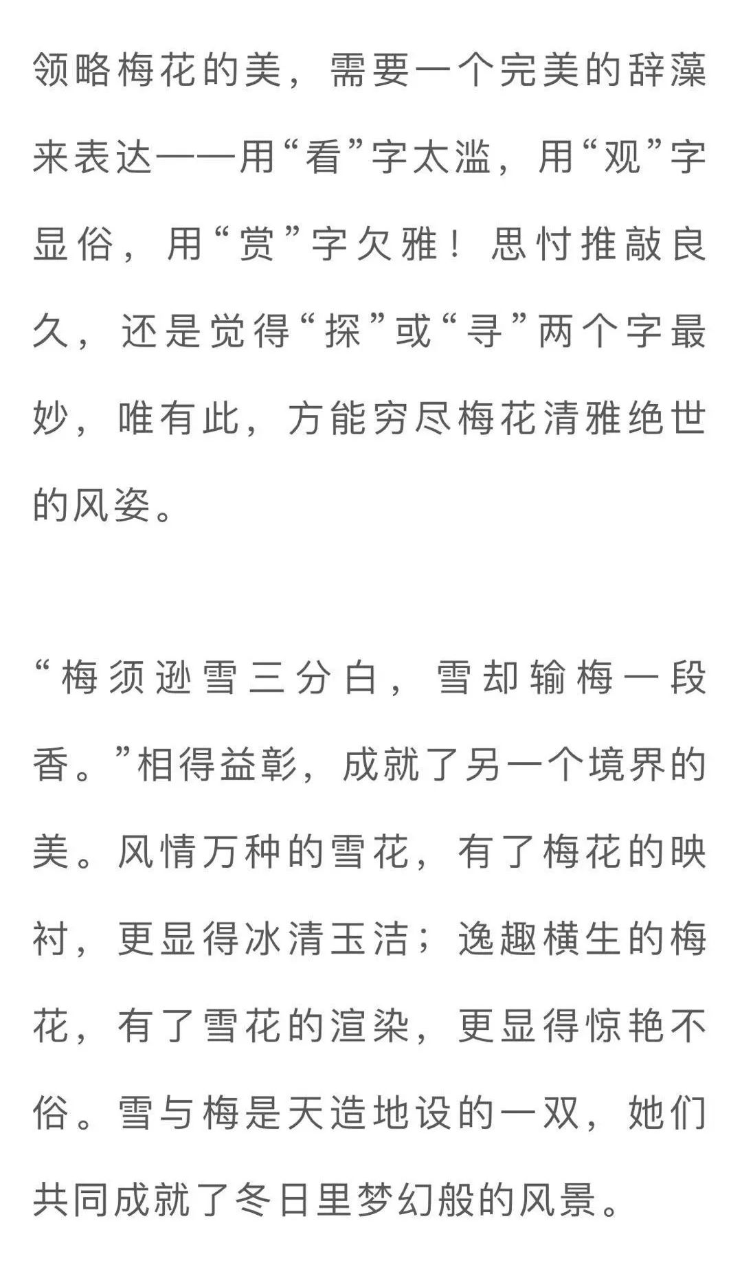 一剪寒梅简谱_PNG一剪寒梅 PNG格式一剪寒梅素材图片 PNG一剪寒梅设计模板 我图网(2)