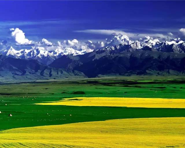 新疆伊犁，一個美的不一樣的地方！ 未分類 第35張