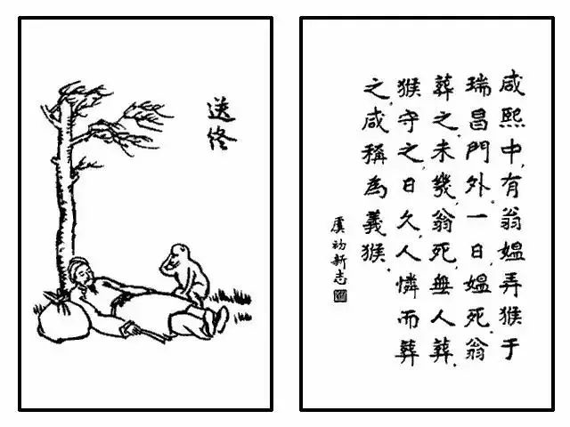 《护生画集》为"护心",丰子恺是什么意思