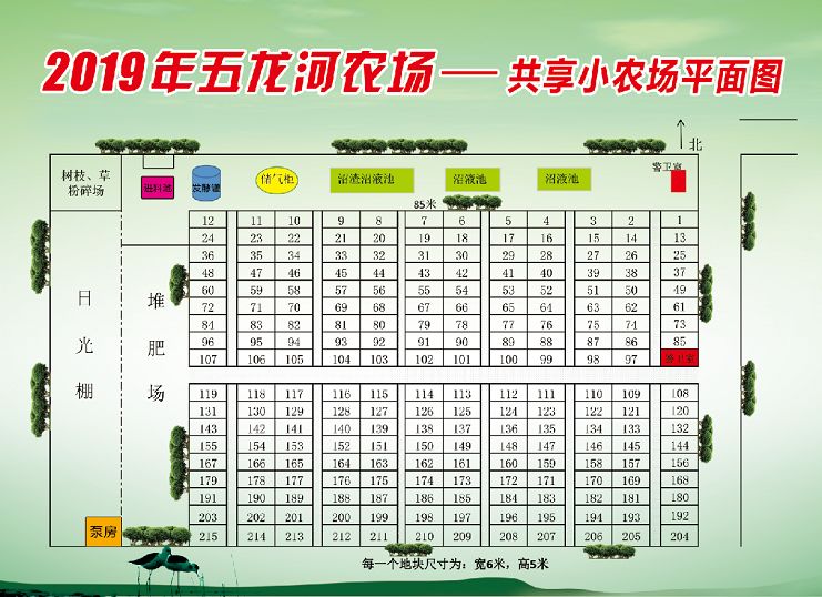 高密人口_高密市第七次全国人口普查公报(2)