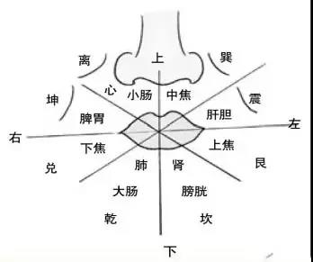 健康观念:面诊,眼诊,鼻诊,耳诊,唇诊,舌诊,齿诊图.都收集齐了!