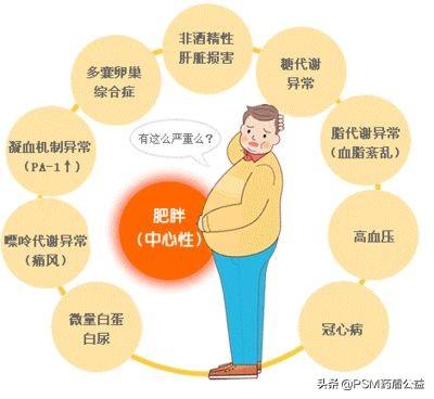 肥胖人口_在线运动行业竞品分析报告(2)