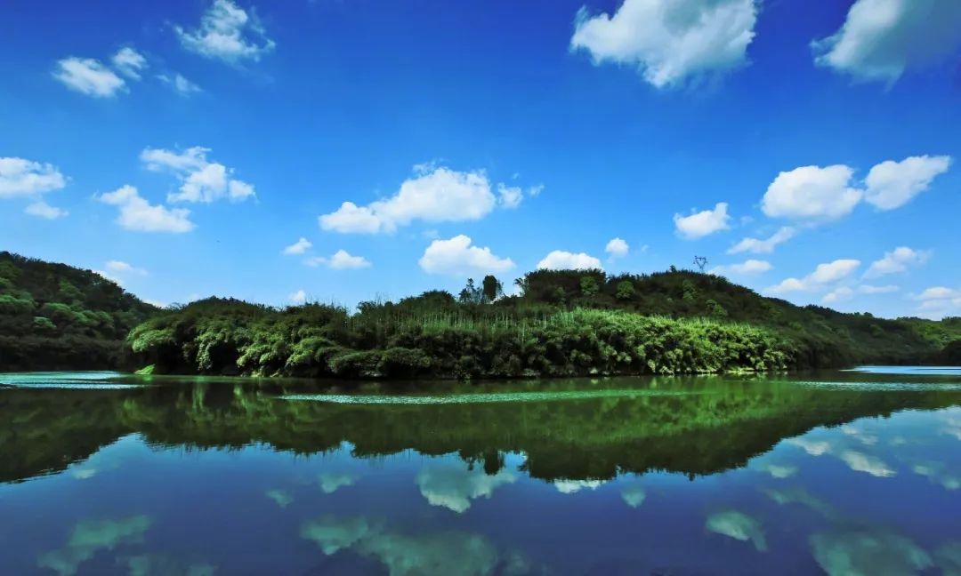 长宁县竹海美景