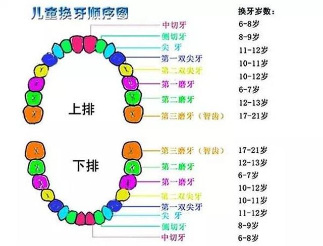 人口中的唾液是一直分泌的吗_唾液分泌图片(2)