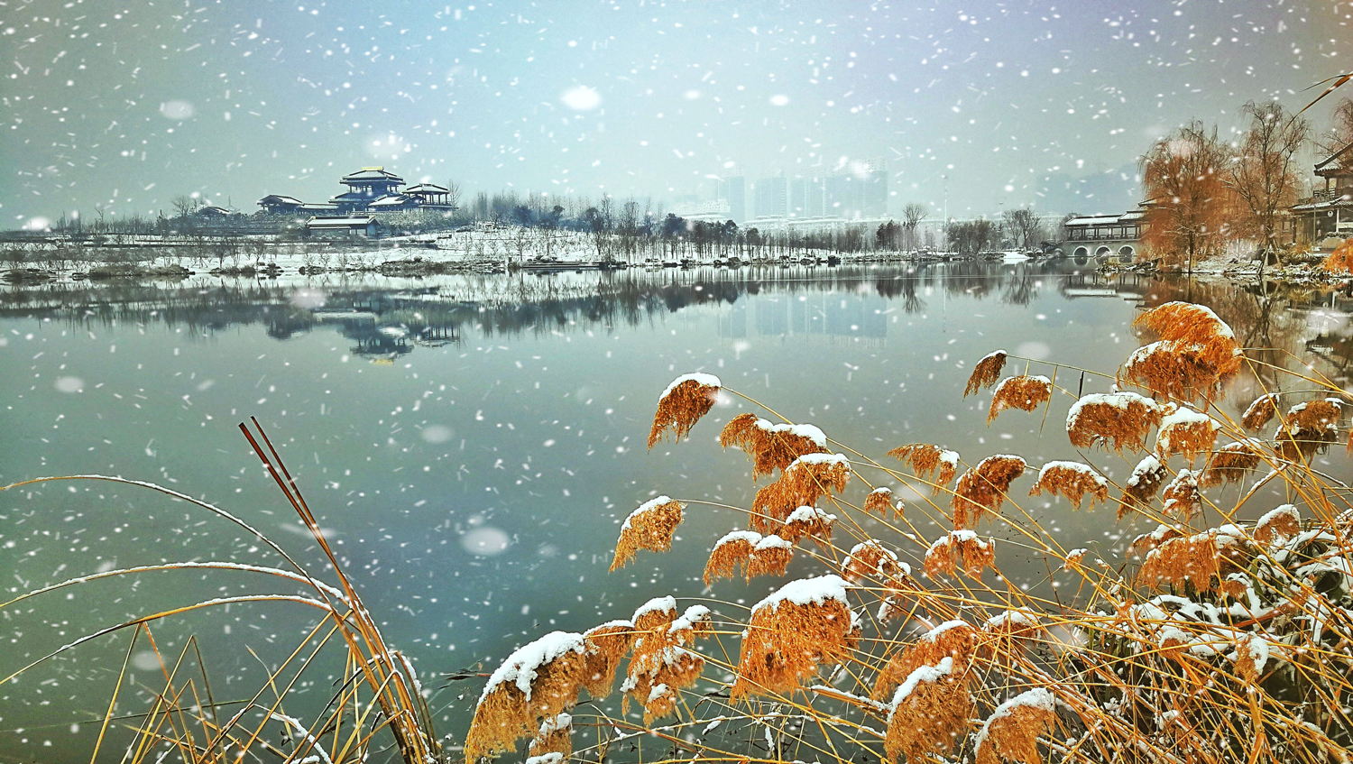 12 《风雪暮归人》周晓东 江苏南京 《雪润桃花岛》 刘宏伟 江苏邳州