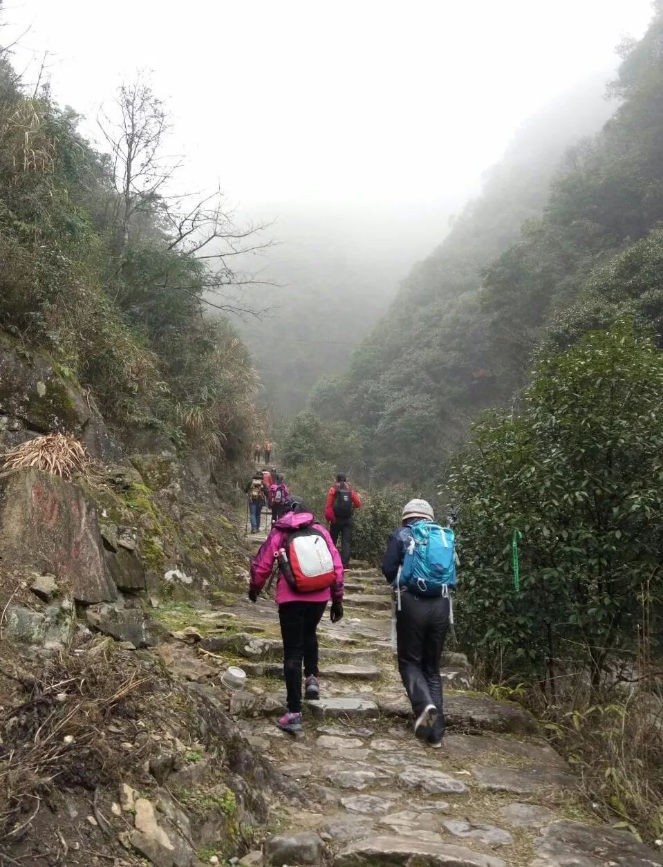 苍岭古道蜿蜒于缙云与仙居交界苍岭上,古道两侧大山夹峙,山岭峻险,山