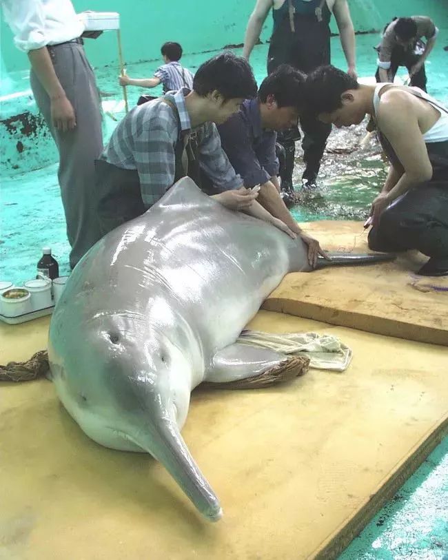 欢迎来芜湖定居!