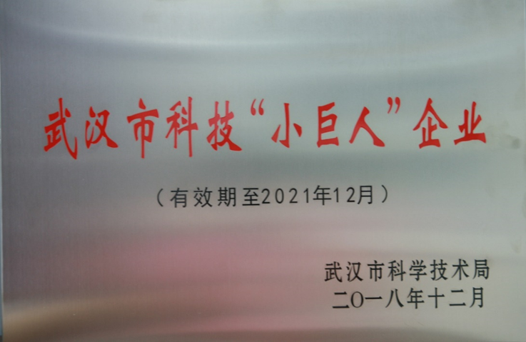 富基科技荣获武汉市科技"小巨人"企业称号